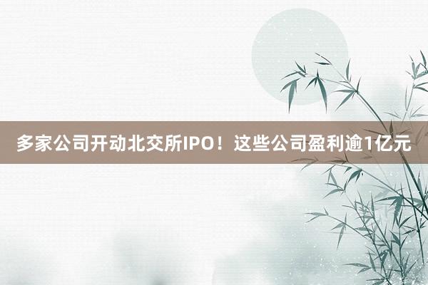 多家公司开动北交所IPO！这些公司盈利逾1亿元